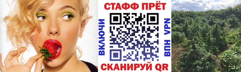 Хочу наркоту Чердынь ЭКСТАЗИ  Бошки Шишки  COCAIN  Псилоцибиновые грибы  Меф  KRAKEN как зайти  ГАШИШ  СОЛЬ 