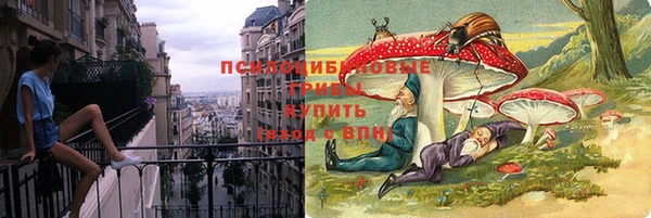 гашик Покачи