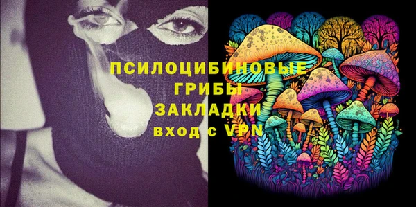 герыч Мегион